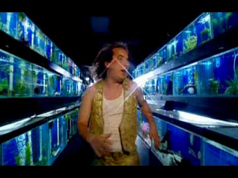 DUI - HAR MAR SUPERSTAR (Music Video)