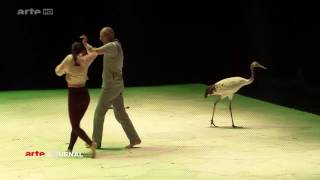 Danse avec les oiseaux/Light Bird - Reportage de ARTE Journal - 6 mai 2015