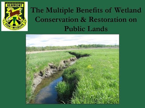 , title : 'The Multiple Benefits of Wetland Conservation and Restoration on Public Lands'