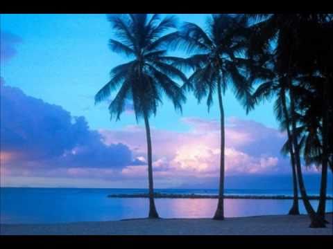 Moonbeam feat. Avis Vox - The Litt.avi