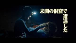 Trailer Preview Image