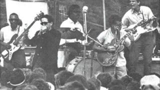 Michael Bloomfield Feat The Butterfield Blues Band - Born In Chicago