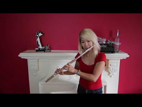 Abominable - Beautiful Life, Bebe Rexha || Flute Cover