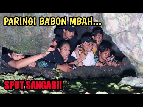 spot-angk3r-mancing-lele-monster-di-dalam-goa-pengalaman-mancing-ikan-yang-memacu-adr3n4lin