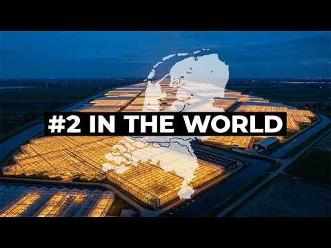 The Netherlands Doesn't Have Much Land. It's Still the World's #2 Food Exporter.