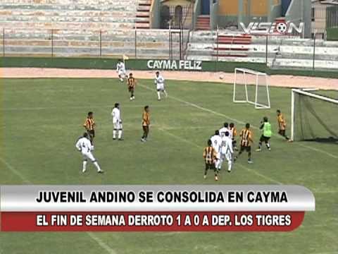 JUVENIL ANDINO 1 - 0 DEP. TIGRES - Vision Deportiva 2013 TVT Canal 39