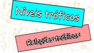 Os níveis tróficos na comunidade