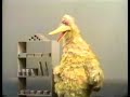 Sesame Street Big Bird Dreams Of Kindergarten