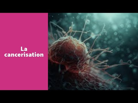 La cancérisation - Première Spécialité SVT