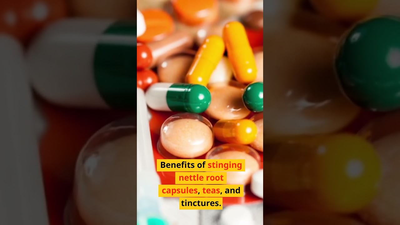 What Does Stinging Nettle Root Do For The Body?