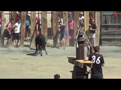 Capea y toro de las peñas