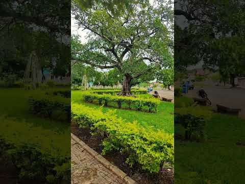 praça da cidade de Dom Bosco MG. #cidadesdeminas  #lugares #shorts