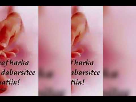 Obsi namaa daangaa qaba.