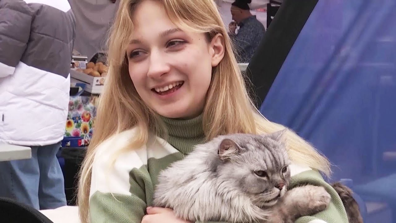 17-Year-Old Ukrainian Refugee Flees With Cat to Poland