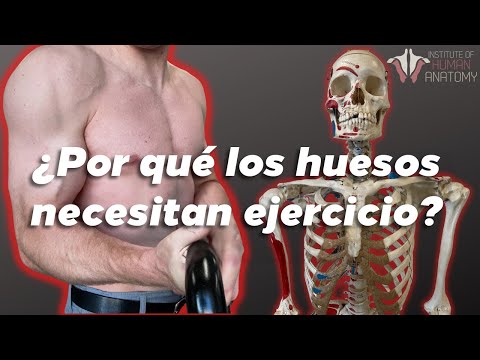 Cómo cambian tus HUESOS con el EJERCICIO...