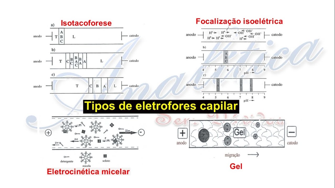 Métodos de separação 32 - Tipos de Eletroforese Capilar.