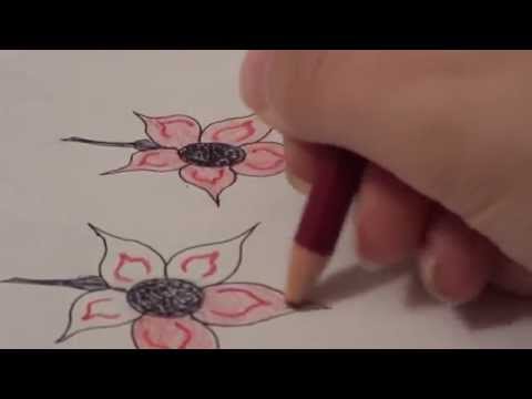 download lagu mp3 mp4 Five Petal Flower Drawing, download lagu Five Petal Flower Drawing gratis, unduh video klip Five Petal Flower Drawing