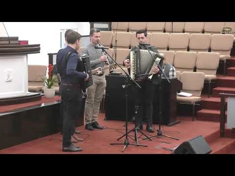 Grup Băieți Albini -Adesea prin valuri, adesea loviti