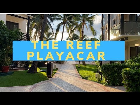 Videos del The Reef Playacar Beach Resort  Spa 5★ en Playa del Carmen, México
Ver Más
Ver
Precios
19
Cerrar
Consulta por Whatsapp 🇦🇷
Booking
Tripadvisor
Expedia
Travelocity
Orbitz
Priceline
Trip
Skyscanner
Despegar
Kayak
Hoteles
Bestday
Destinia
Trivago
Turismocity
Lastminute
Hotwire
Cheaptickets
Tui
