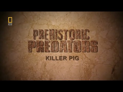 Prehistoric Predators - Ep 6 Killer Pig (2009)