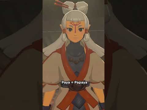 Do you know the secret of Kakariko Village #zelda #zeldabreathofthewild #zeldabotw #funfacts #games