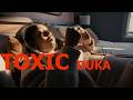 Duka Toxic