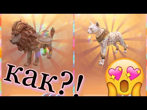 как выбить мистик?100% рабочий способ|wild craft
