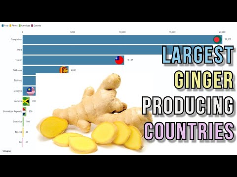 download lagu mp3 mp4 Ginger Country, download lagu Ginger Country gratis, unduh video klip Ginger Country