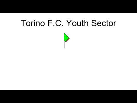 Torino F.C. Youth Sector