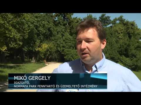 Hírek 2016. június 24.