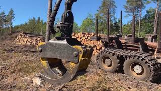 Rottne F18 8WD autocargador | Imagen 4 - Agroline