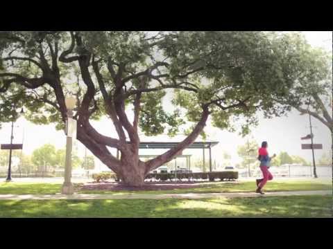 Thumbnail for A New Day video