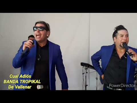 BANDA TROPICAL DE VALLENAR  Cual Adiós  2022