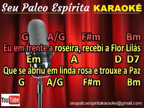 PERDÃO LILÁS KARAOKÊ -  ALÊ DE MARIA KARAOKÊ - Seu Palco Espirita Karaokê