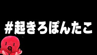 ぽんたこが起きるまで山に登ります