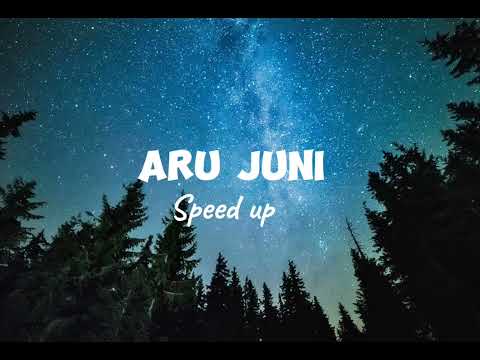 ARU JUNI -[Speed up] new nepali song