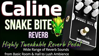 Video thumbnail for CALINE SNAKE BITE REVERB -Highly Tweakable Reverb -THE BEST BUDGET REVERB EVER? by KEVIN’S HATS & GUITARS -(KTG Hats)
