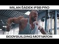 Milan Šádek | IFBB PRO | Bodybuilding motivation 2020