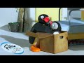 Pingu In A Box Pingu Official Channel Cartoons For Kids