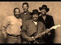 Magic Slim-Young Man's Blues