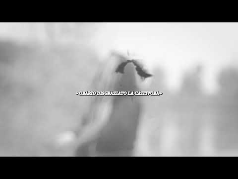 video frame placeholder