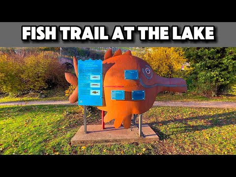 Fish trail at the lake of Biel/Bienne | Switzerland