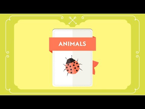 What? Why? How? - ANIMALS