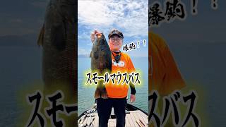 チョゴリ、猪苗代湖でバケモノ級スモールマウスバスと死闘！🐟