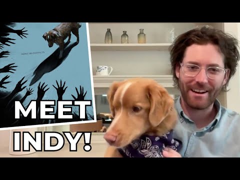 Lanzan primer adelanto de “Good Boy”, película de terror protagonizada por un perro