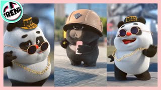 Download lagu (Tiktok) - Chú gấu trúc Panda cực dễ thương, đáng yêu - Funny so cute panda! mp3