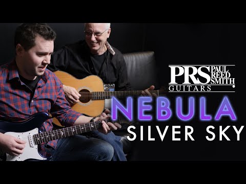 PRS Silver Sky Nebula Electric Guitar - John Mayer Signature Model - 1 of 500 Made! image 26