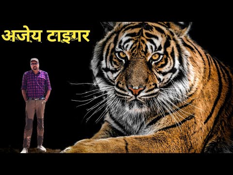Mauler Of Rajnagra । अजेय बाघ । वो बाघ जिसने Kenneth Anderson को हरा दिया । Wildlife Stories। Hunter