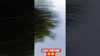 Download lagu ANKUSH RAJA | Doliya Mein Le Jaai Bhatar - डोलिया में ले जाई भतार | Shilpi Raj | Bhojpuri Song...... mp3