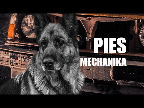 VOLVO 244 i historia pewnej przyjaźni / TONGA